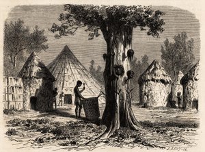 شجرة الحرب ، في قرية دجور ، منطقة بحر الغزال ، السودان ، رسمها كارل جيرارديت (1813-1871) لتوضيح الرحلة إلى نهر غزال بولونيسي ، 1856-1857. نقش في "" Le Tour du monde "، تحرير إدوارد شارتون بواسطة كارل جيرارديت