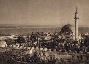 عكا ، مسجد (b / w photo)