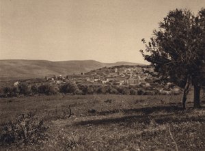 قانا (صورة ب / ث)