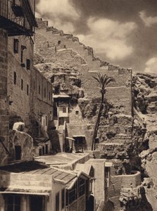 مار سابا ، نخلة سانت ساباس (b / w photo)