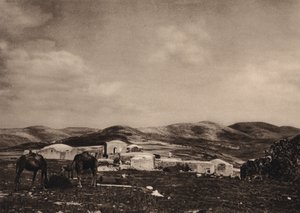 السامرة ، منظر من أنقاض قصر هيرود (صورة b / w)