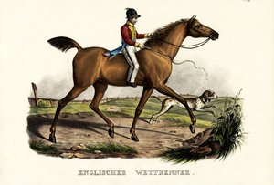 حصان متسابق إنجليزي ، 1824 بواسطة كارل جوزيف برودمان