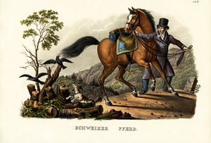 الحصان السويسري ، 1824 بواسطة كارل جوزيف برودمان