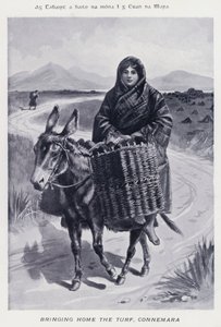 إحضار العشب إلى المنزل ، كونيمارا (صورة بالأبيض والأسود)