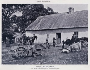 Irish Farmyard (b/w photo)