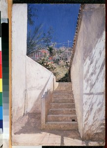 سلم الحديقة. لوحة "جزائرية" لبافيل ألكساندروفيتش بريولوف (بريولوف) (1840-1914) 1883. معرض الدولة تريتياكوف ، موسكو بواسطة كارل بافلوفيتش بريولوف