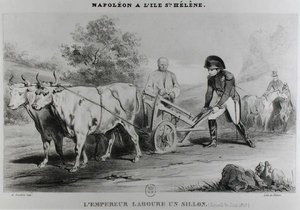نابليون (1769-1821) في سانت هيلانة ، نقشها فرانسوا لو فيلان (fl.1819-22) بواسطة كارل بعد Loeillot Hartwig
