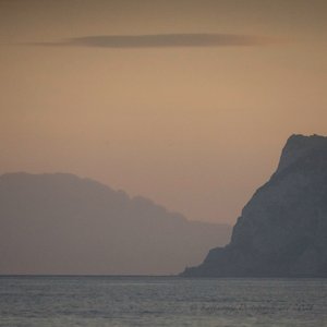  بواسطة كاثا وود