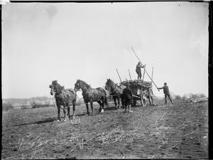 برومفيلد ، برومفيلد وكينجسوود ، ميدستون ، كينت ، 06/04/1904 (b / w photo)