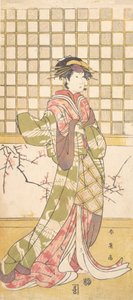 ممثل من قبيلة إيواي كامرأة ، كاليفورنيا. 1795.