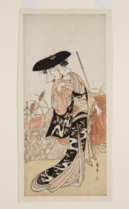 Ac and r Segawa Chrysanthemum Woman Good مثل الثعلب أقحوان (أقحوان - فوكسني) بواسطة كاتسوكاوا شونشو