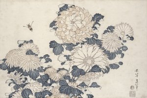 النحلة والأقحوان ، من سلسلة "Big Flowers" (طبعة خشبية ملونة) بواسطة كاتسوشيكا هوكوساي