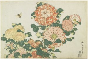 أقحوان و Horsefly ، ج. 1832 بواسطة كاتسوشيكا هوكوساي