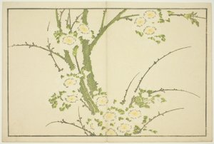 الزهور ، من الكتاب المصور للوحات الواقعية لهوكوساي (Hokusai shashin gafu) بواسطة كاتسوشيكا هوكوساي