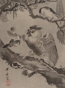 بومة استهزأ بها طيور صغيرة ، كاليفورنيا. 1887. بواسطة كوانابي كيوساي