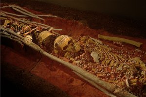  بواسطة كينيث جاريت