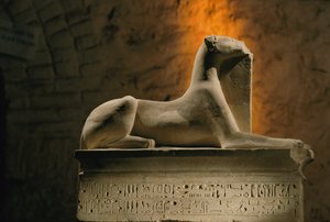 بواسطة كينيث جاريت
