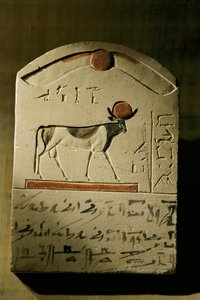  بواسطة كينيث جاريت