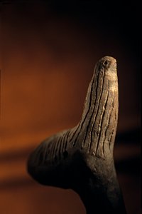  بواسطة كينيث جاريت