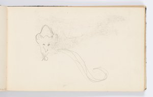 صفحة كراسة الرسم: Sketch of a Genet بواسطة كينيون كوكس