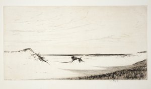 الرمال والبحر، كيب كود