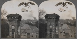 في Olden Times ، إذا كان الناس جيدون ، فإن اللقلق سيجلب طفلًا حلوًا وعادلاً ، 1907.