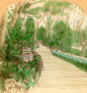 منتزه ، حديقة ألاميدا ، صخرة جبل طارق ، 1896. بواسطة شركة كيستون فيو