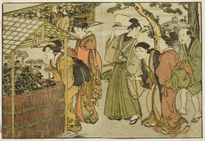 عرض الأقحوان ، من الكتاب المصور "كتاب مصور: زهور الفصول الأربعة (Ehon shiki no hana) ،" المجلد. 2 بواسطة كيتاجاوا أوتامارو