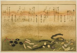 Minashi-gai و shio-gai و katatsu-gai و miso-gai و chijimi-gai و chigusa-gai ، من الكتاب المصور "هدايا من إيب تايد (Shiohi no tsuto)" بواسطة كيتاجاوا أوتامارو