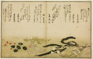 Minashi-gai و shio-gai و katatsu-gai و miso-gai و chijimi-gai و chigusa-gai ، من الكتاب المصور "هدايا من إيب تايد (Shiohi no tsuto)" بواسطة كيتاجاوا أوتامارو
