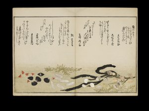 Shiohi no tsuto (هدايا من Ebb Tide) ، والمعروفة باسم Shell Book ، 1789 (طباعة لوح خشبي ملون) بواسطة كيتاجاوا أوتامارو