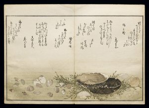 Shiohi no tsuto (هدايا من Ebb Tide) ، والمعروفة باسم Shell Book ، 1789 (طباعة لوح خشبي ملون) بواسطة كيتاجاوا أوتامارو