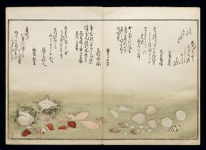 Shiohi no tsuto (هدايا من Ebb Tide) ، والمعروفة باسم Shell Book ، 1789 (طباعة لوح خشبي ملون) بواسطة كيتاجاوا أوتامارو