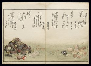 Shiohi no tsuto (هدايا من Ebb Tide) ، والمعروفة باسم Shell Book ، 1789 (طباعة لوح خشبي ملون) بواسطة كيتاجاوا أوتامارو