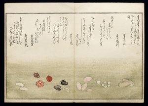 Shiohi no tsuto (هدايا من Ebb Tide) ، والمعروفة باسم Shell Book ، 1789 (طباعة لوح خشبي ملون) بواسطة كيتاجاوا أوتامارو