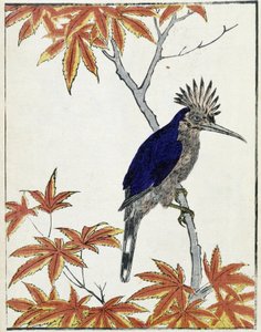 طائر على شجرة. الرسم الياباني كيتاو كوسيساي بواسطة Kitao Shigemasa