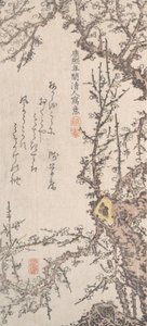 شجرة البرقوق في بلوسوم ، أواخر القرن الثامن عشر وأوائل القرن التاسع عشر. بواسطة Kitao Shigemasa