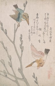 Kingfishers و Pussy-Willow ، القرن التاسع عشر.