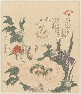 الفاونيا والسوسن Kakitsubata botan (العنوان على الكائن) مجموعة مختارة من النباتات لجمعية شاعر قاسمي (عنوان المسلسل) Kasumiren Somoku Awase (عنوان المسلسل على الكائن)