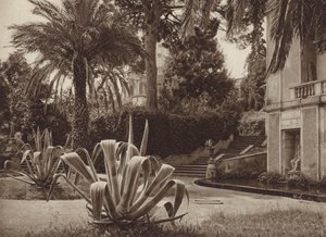 روما: في حديقة الفاتيكان (صورة b / w) بواسطة كيرت هيلشر