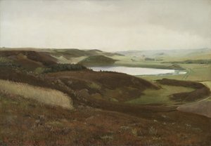 منظر طبيعي بالقرب من Bryrup ، Jutland بواسطة خاتم Andersen من Laurit