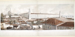 منظر لمستشفى باراك في سكوتاري ، 1857 بواسطة سيدة أليسيا بلاكوود