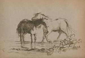 "خيول" ، 1903 بواسطة سيدة ديانا سبنسر