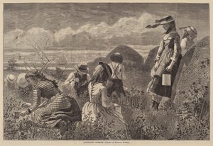 جمع التوت بواسطة Lagarde after Winslow Homer