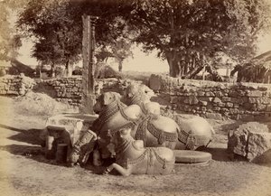  بواسطة لالا دين ديال