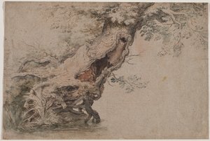 شجرة مجوفة ، بعد Roelant Savery ، بعد 1670.