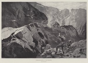 Ptarmigan-Shooting in the Highlands