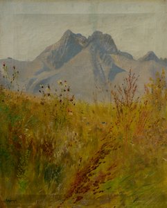 لومنيكو بيك بواسطة Laszlo Mednyanszky