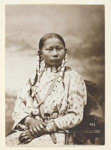 سبوتد فاون ، شايان العروس ، 1879.