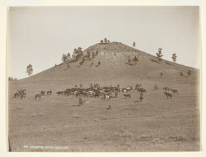 العمل في حفنة صغيرة في التلال ، ج. 1900.
